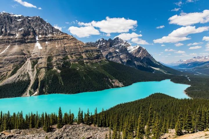 Beautiful Newly Reno 2Bdm 2 Bth Sleep Up To 6 Adults & Kids Mountain View Townhouse Suite Canmore Bagian luar foto
